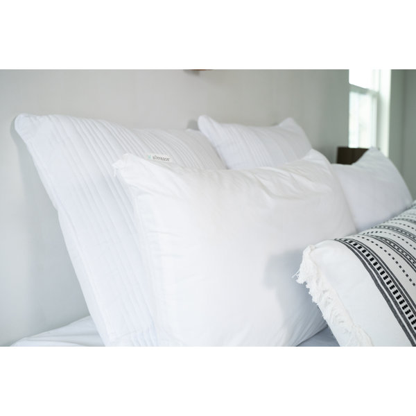 AllerEase Pillow Protector & Reviews Wayfair